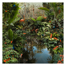 Load image into Gallery viewer, Backwaters Oasis - Limited Edition Fine Art print