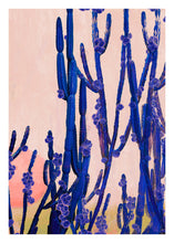 Load image into Gallery viewer, Cactus Valley - Limited Edition Fine Art