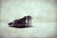 Load image into Gallery viewer, Cold - Limited edition fine art