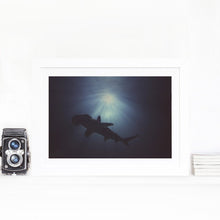 Load image into Gallery viewer, Hammerhead Above - Limited Edition Fine Art