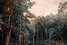 Load image into Gallery viewer, Akumal - Limited Edition Fine Art