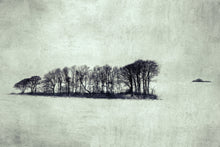 Load image into Gallery viewer, Colder - Limited edition fine art print