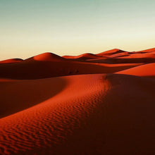 Load image into Gallery viewer, Desert Love - Limited Edition Fine Art