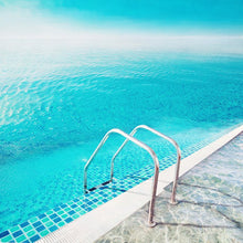 Load image into Gallery viewer, Afternoon Swim - Limited Edition Fine Art