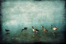 Load image into Gallery viewer, Ducks on Blue Ice- Limited Edition Fine Art
