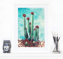 Load image into Gallery viewer, Cactus Pool - Limited Edition Fine Art