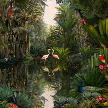 Load image into Gallery viewer, Backwaters Springs - Limited Edition Fine Art print