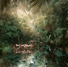 Load image into Gallery viewer, Backwaters Song - Limited Edition Fine Art print