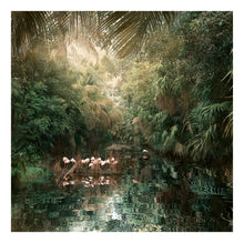 Load image into Gallery viewer, Backwaters Song - Limited Edition Fine Art print