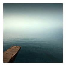 Load image into Gallery viewer, Blue Swim - Limited Edition Fine Art