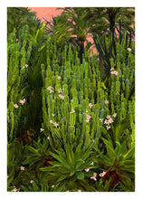 Load image into Gallery viewer, Cactus Song - Limited Edition Fine Art