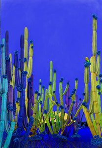 Cactus Blue - Limited Edition Fine Art