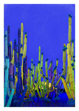 Load image into Gallery viewer, Cactus Blue - Limited Edition Fine Art