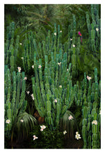 Load image into Gallery viewer, Cactus Forest - Limited Edition Fine Art