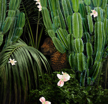Load image into Gallery viewer, Cactus Forest - Limited Edition Fine Art