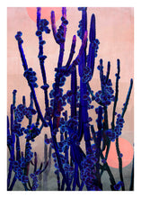Load image into Gallery viewer, Cactus Moon- Limited Edition Fine Art