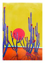 Load image into Gallery viewer, Cactus Sunset - Limited Edition Fine Art
