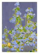 Load image into Gallery viewer, Cactus Trees - Limited Edition Fine Art