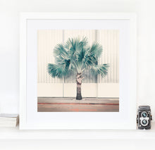 Load image into Gallery viewer, Palm Park - Limited Edition Fine Art