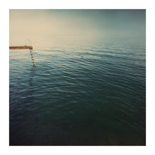 Load image into Gallery viewer, The Swimmer - Limited Edition Fine Art print
