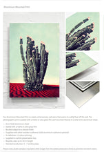 Load image into Gallery viewer, Desert Flowers - Limited Edition Fine Art