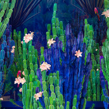 Load image into Gallery viewer, Cactus Garden - Limited Edition Fine Art