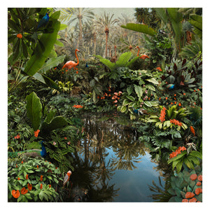 Backwaters Oasis - Limited Edition Fine Art print