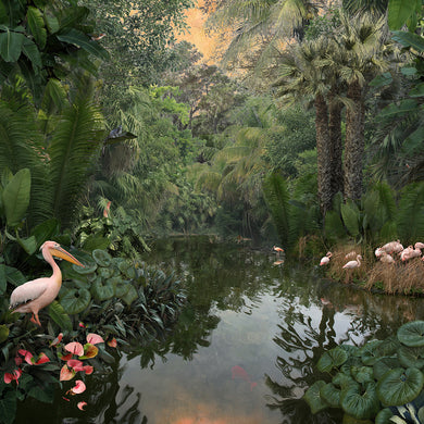 Backwaters Sunset - Limited Edition Fine Art print