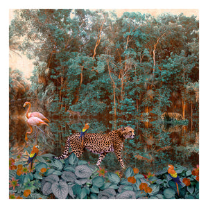 Backwaters Forest- Limited Edition Fine Art print