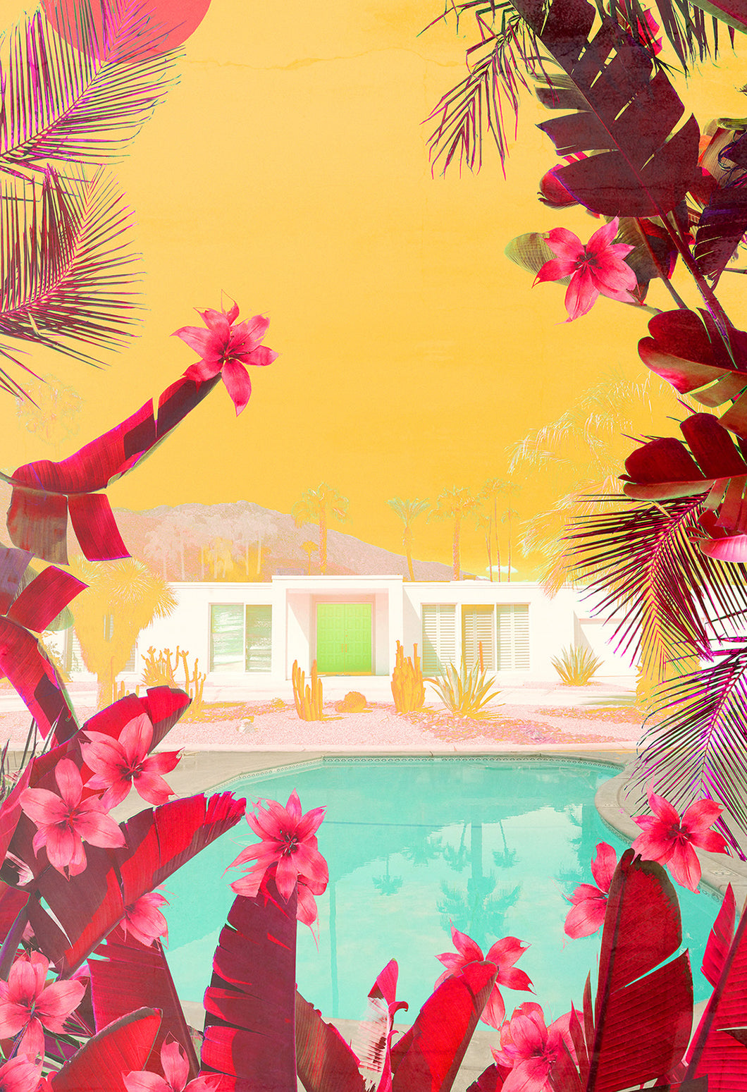 Cactus Hills - Limited Edition Fine Art print