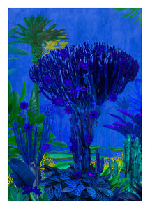 Cactus Marrakech - Limited Edition Fine Art