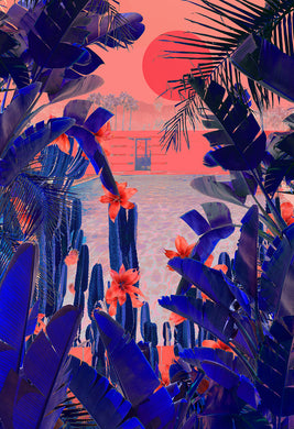 Cactus Midnight - Limited Edition Fine Art