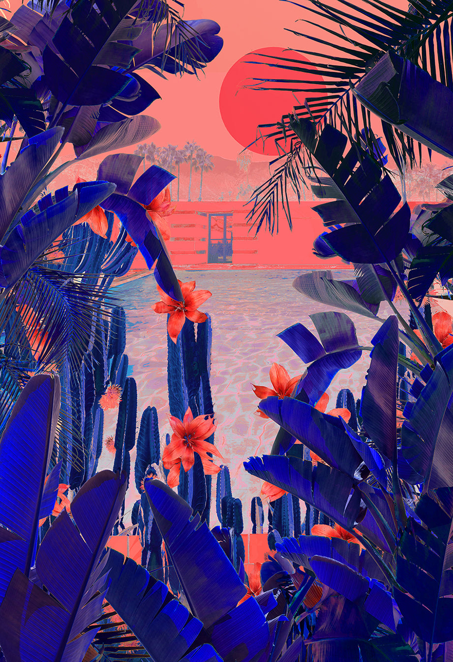 Cactus Midnight - Limited Edition Fine Art