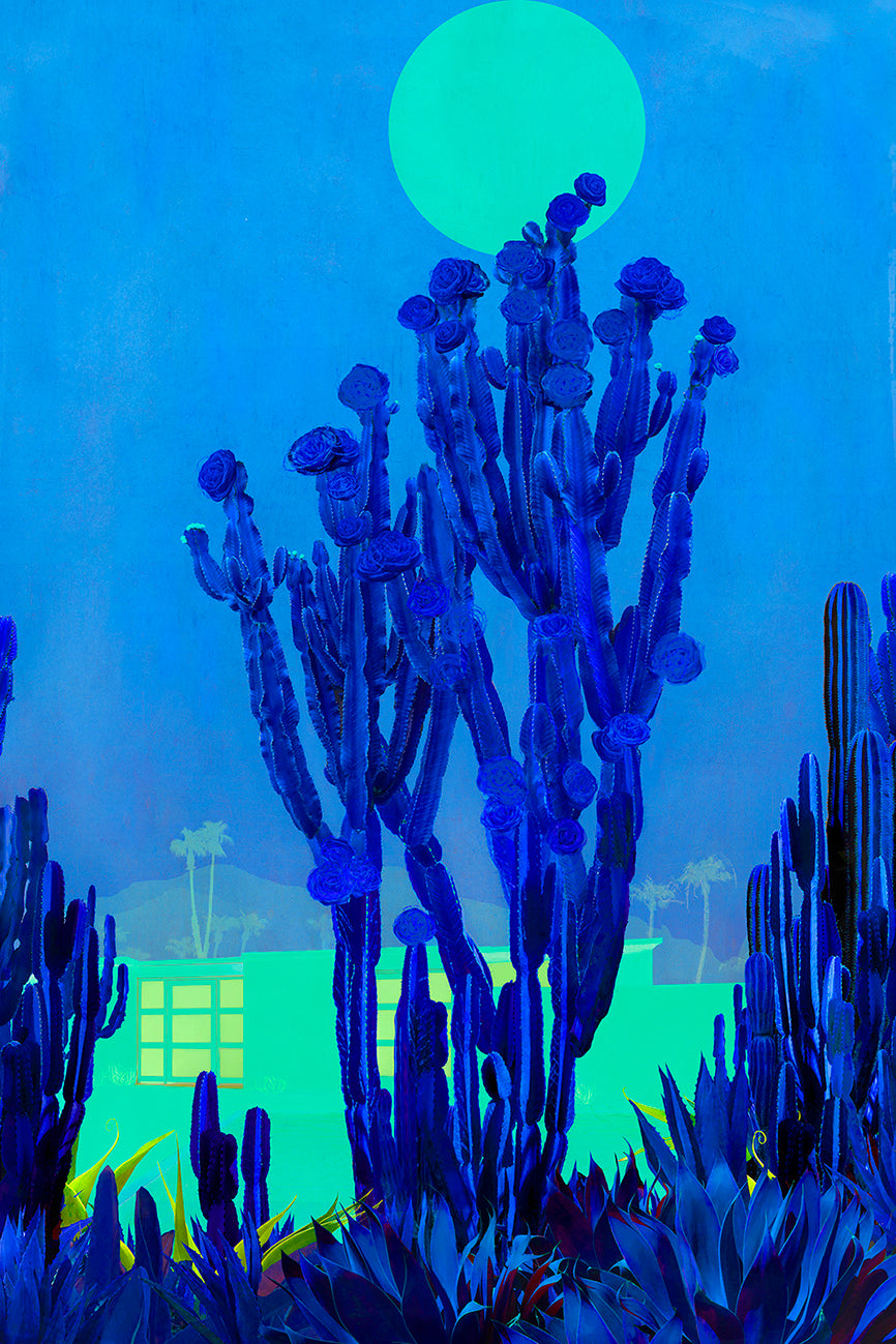 Cactus Moonlight - Limited Edition Fine Art