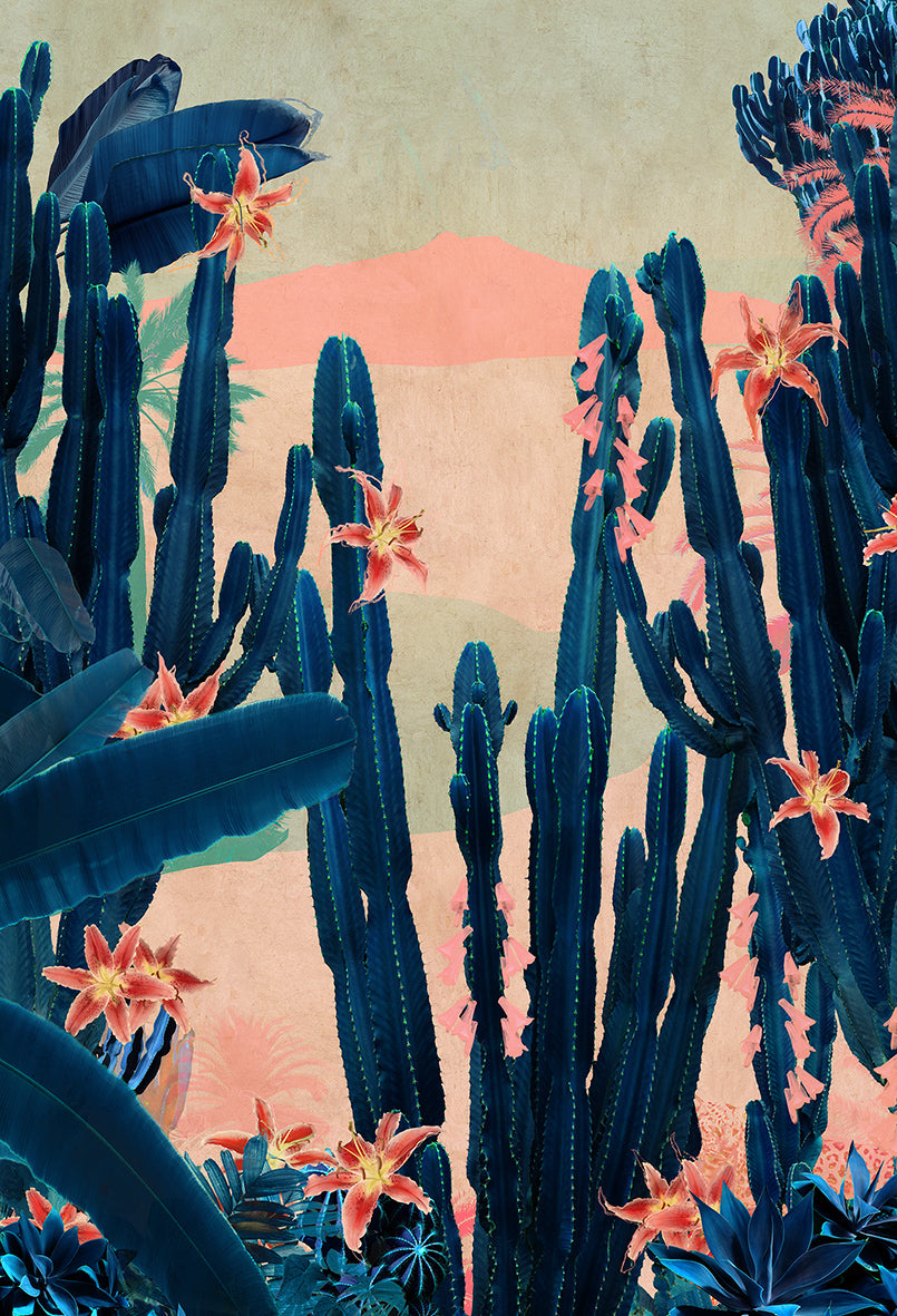 Cactus Taormina - Limited Edition Fine Art