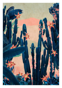 Cactus Taormina - Limited Edition Fine Art