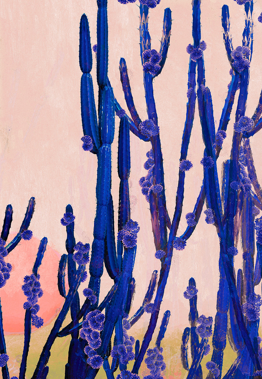 Cactus Valley - Limited Edition Fine Art