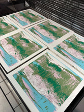 Load image into Gallery viewer, Forest Lake screen print
