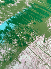 Load image into Gallery viewer, Forest Lake screen print