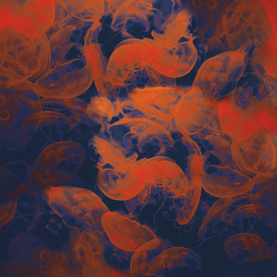 Monterey Nights - Limited edition fine art