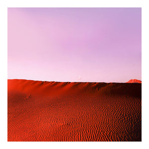Pink Desert - Limited Edition Fine Art