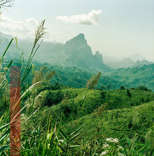 Load image into Gallery viewer, Laos mountain steps - Limited edition art