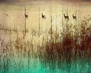 Grazing - Limited Edition Fine Art