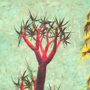 Pink Karoo  - Limited edition fine art