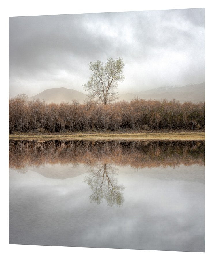 Inyo quiet - Limited edition fine art print