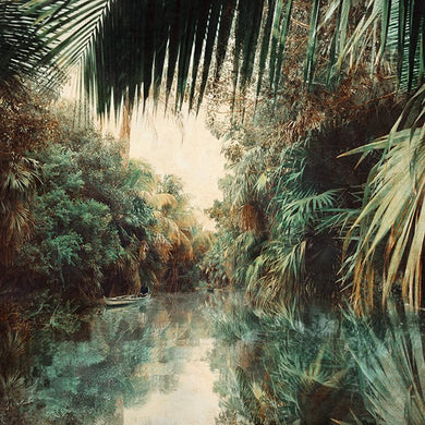 Backwaters Jungle - Limited Edition Fine Art print