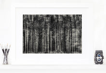 Load image into Gallery viewer, Into the woods - fine art limited edition artwork