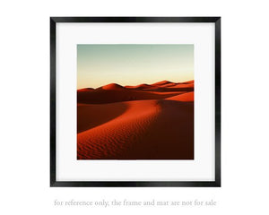 Desert Love - Limited Edition Fine Art