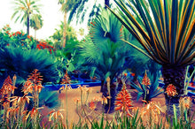 Load image into Gallery viewer, Majorelle Wild - Limited Edition Fine Art