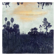 Load image into Gallery viewer, Orto Botanico - Limited Edition Fine Art